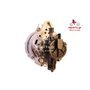 EXCHANGE ALTERNATOR 65AMP 12V