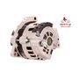 EXCHANGE ALTERNATOR 100AMP 12V