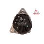 EXCHANGE ALTERNATOR 70AMP 12V
