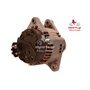 EXCHANGE ALTERNATOR 100AMP 12V