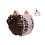 EXCHANGE ALTERNATOR 100AMP 12V