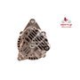 EXCHANGE ALTERNATOR 90AMP 12V
