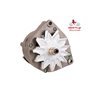 EXCHANGE ALTERNATOR 115AMP 12V