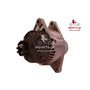 EXCHANGE ALTERNATOR 75AMP 12V