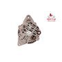 EXCHANGE ALTERNATOR 70AMP 12V