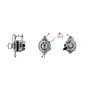 EXCHANGE ALTERNATOR 150AMP 12V