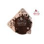 EXCHANGE ALTERNATOR 110AMP 12V
