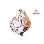 EXCHANGE ALTERNATOR 90AMP 12V