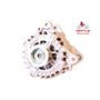 EXCHANGE ALTERNATOR 180AMP 12V