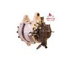 EXCHANGE ALTERNATOR 60AMP 12V