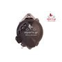 EXCHANGE ALTERNATOR 150AMP 12V