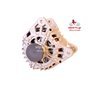 EXCHANGE ALTERNATOR 120AMP 12V