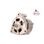 EXCHANGE ALTERNATOR 27AMP 24V