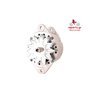 EXCHANGE ALTERNATOR 80AMP 24V