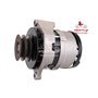 EXCHANGE ALTERNATOR 55AMP 24V