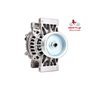 EXCHANGE ALTERNATOR 100AMP 24V