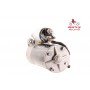 EXCHANGE STARTER 2.2KW 12V