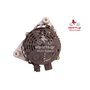 EXCHANGE ALTERNATOR 80AMP 12V