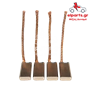 Μίζα Ika HPIX1(IKA) 