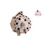 EXCHANGE ALTERNATOR 100AMP 12V