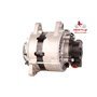 EXCHANGE ALTERNATOR 55AMP 12V