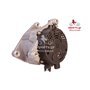 EXCHANGE ALTERNATOR 80AMP 12V