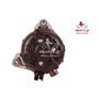 EXCHANGE ALTERNATOR 120AMP 12V