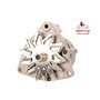 EXCHANGE ALTERNATOR 55AMP 12V