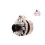 EXCHANGE ALTERNATOR 55AMP 12V