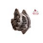 EXCHANGE ALTERNATOR 60AMP 12V