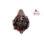 EXCHANGE ALTERNATOR 55AMP 12V