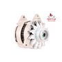EXCHANGE ALTERNATOR 55AMP 12V