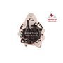 EXCHANGE ALTERNATOR 75AMP 12V