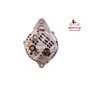 EXCHANGE ALTERNATOR 75AMP 12V
